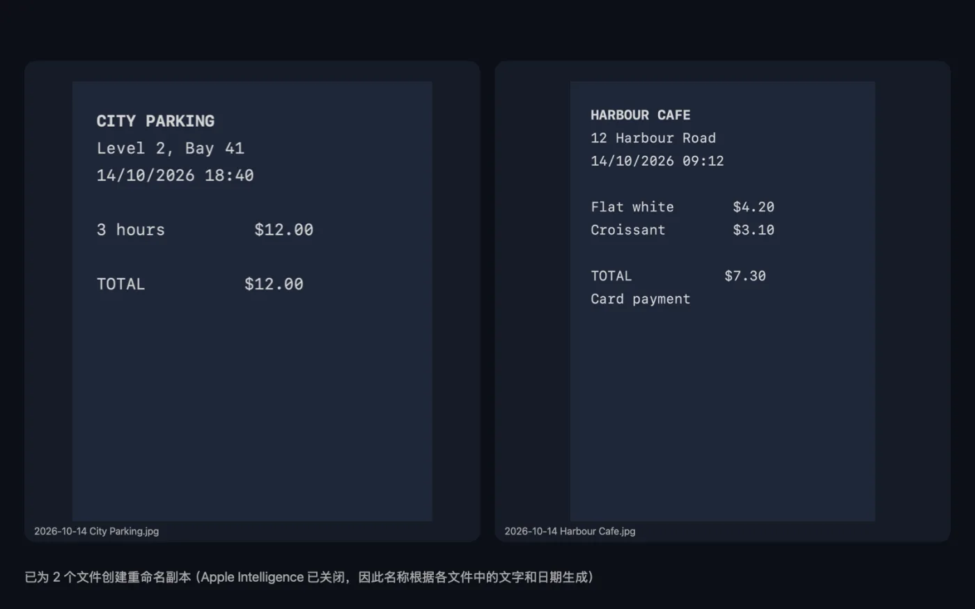 智能重命名处理示例文件的结果